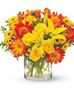 Birthday Flowers