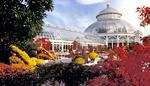 The New York Botanical Garden