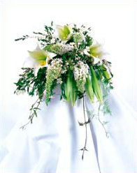 Weddings at Blossom Flower Shops