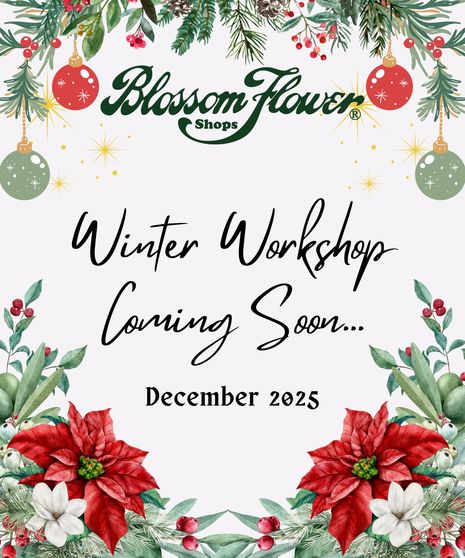 Winter Workshop - Coming Soon December 2025