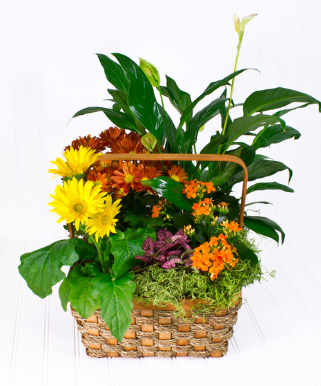 Autumn Flowering Plant Basket