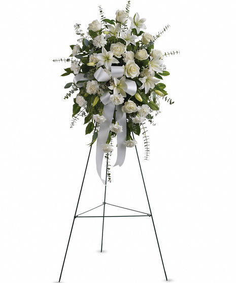 Sentiments of Serenity Spray
