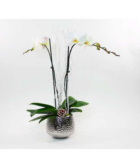 White Orchids - Slate Pot