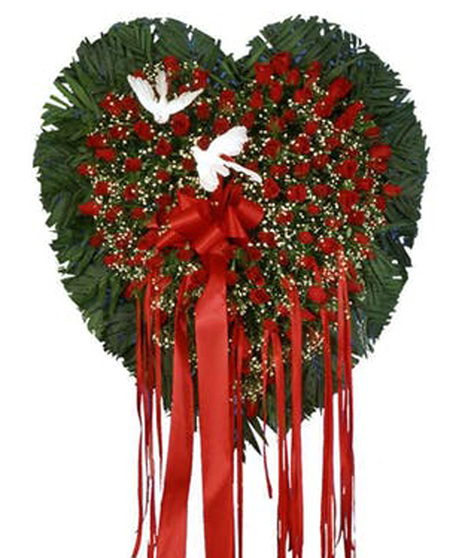 Red Rose Bleeding Heart