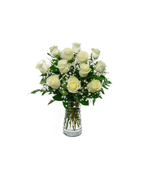 1 Dozen Classic White Roses
