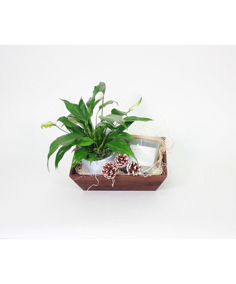 Wood Crate with Rosemary Plant & Candle
