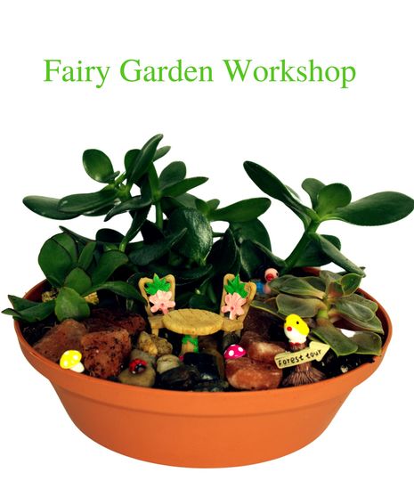 Fairy Garden Workshop