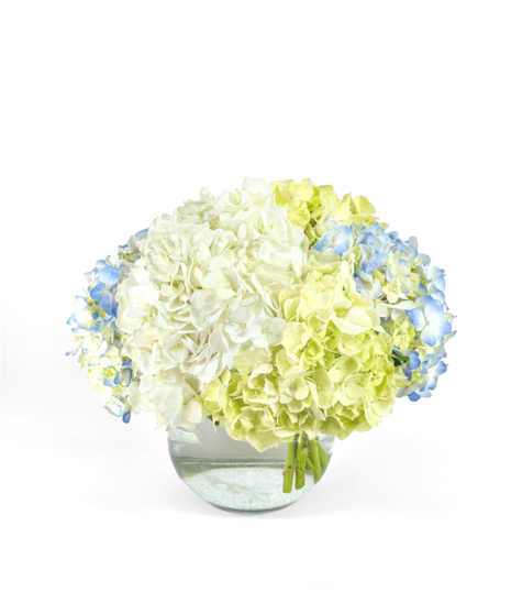 Dahlia, Garden Roses, Protea in Glass Cylinder
