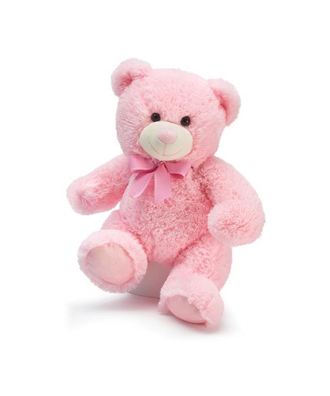 Baby Girl Pink Bear