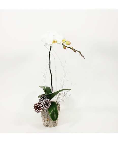 White Orchids - Slate Pot