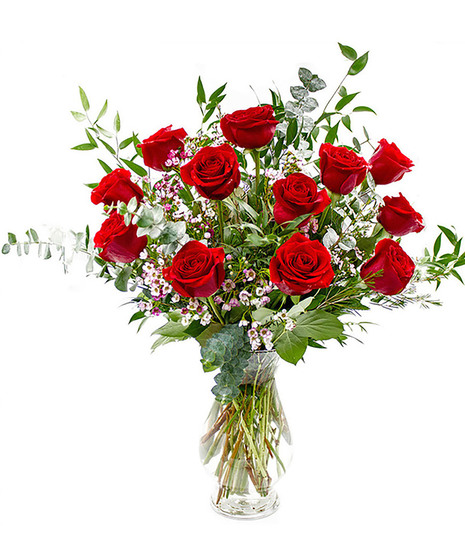 Superior Dozen Red Roses