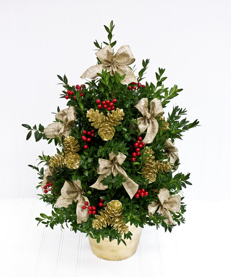 Handmade Boxwood Tree in Gold Pot