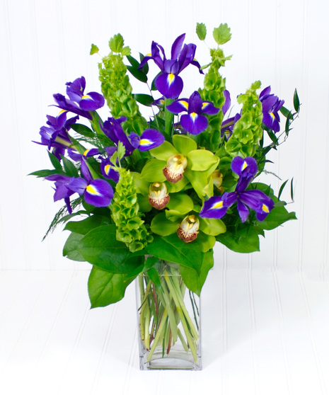Iris & Orchids