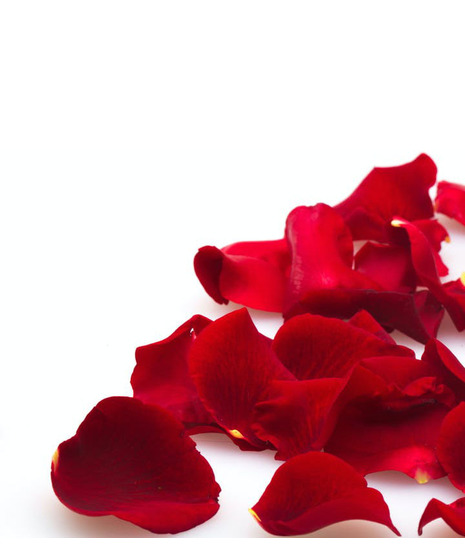 XO-Romantic Rose Petals (Hand Picked)