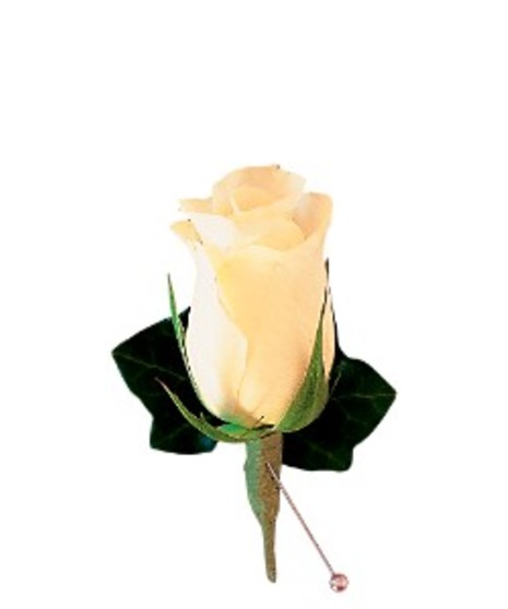 Boutonniere Rose