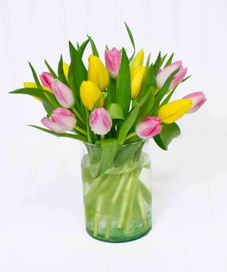 Colorful Tulips