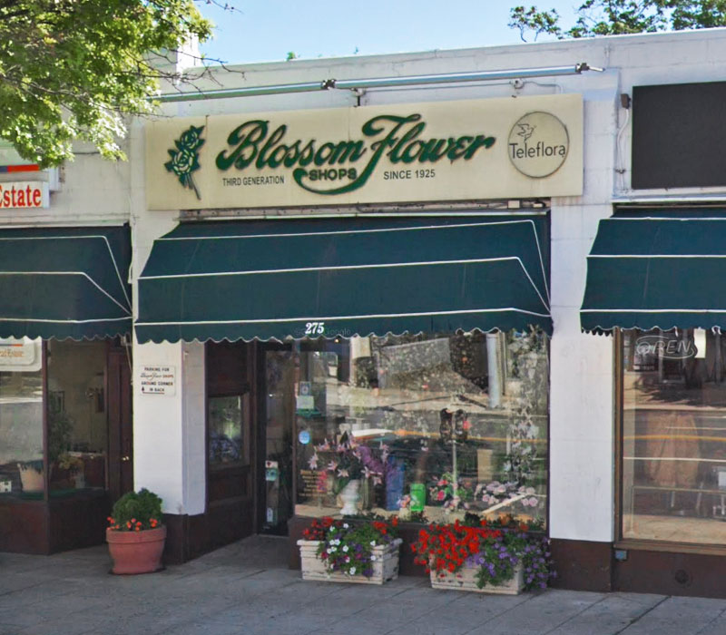 White Plains Location