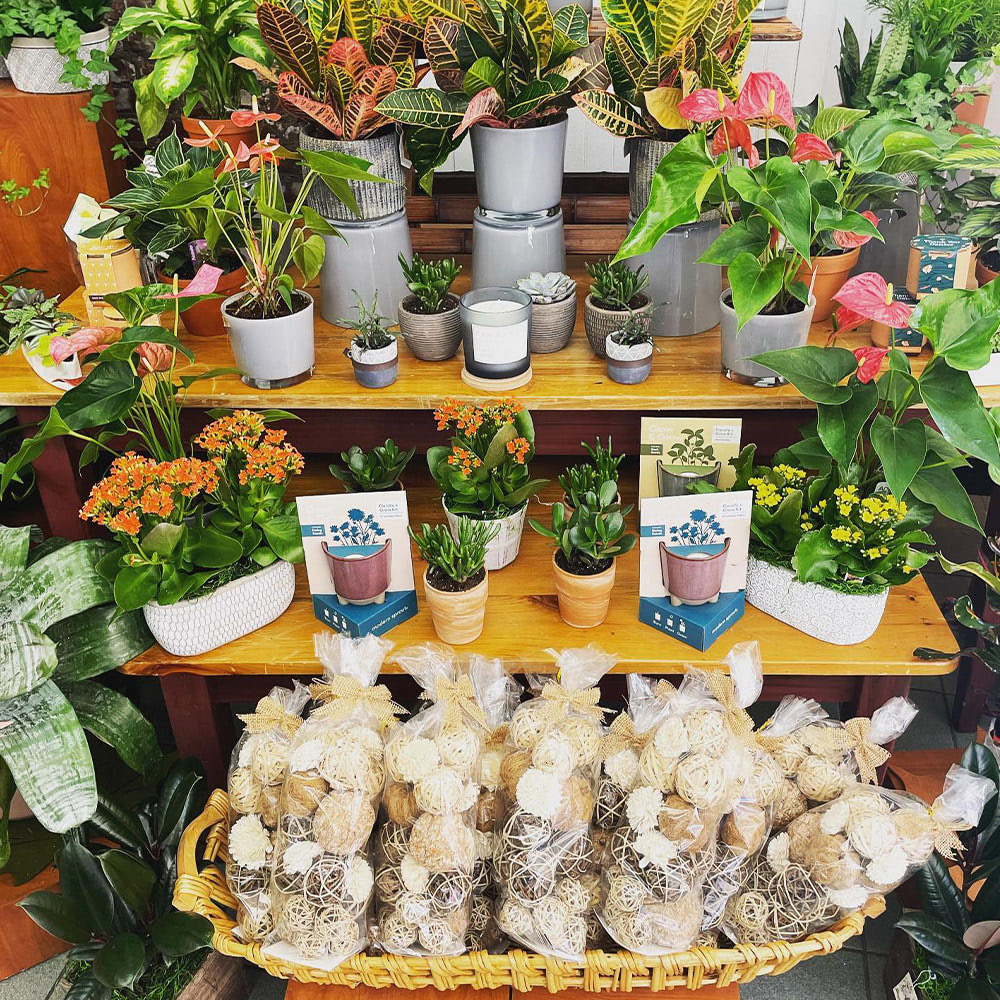 Yonkers & White Plains, New York Florist Blossom Flower Shops