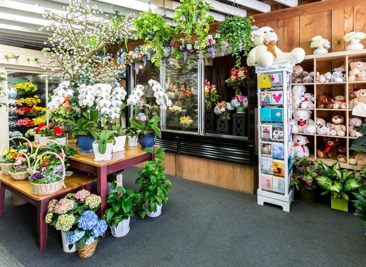 Step inside our colorful, welcoming showroom