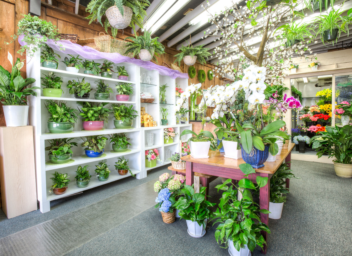 Blossom Flower Shops Hours & Address - White Plains, NY