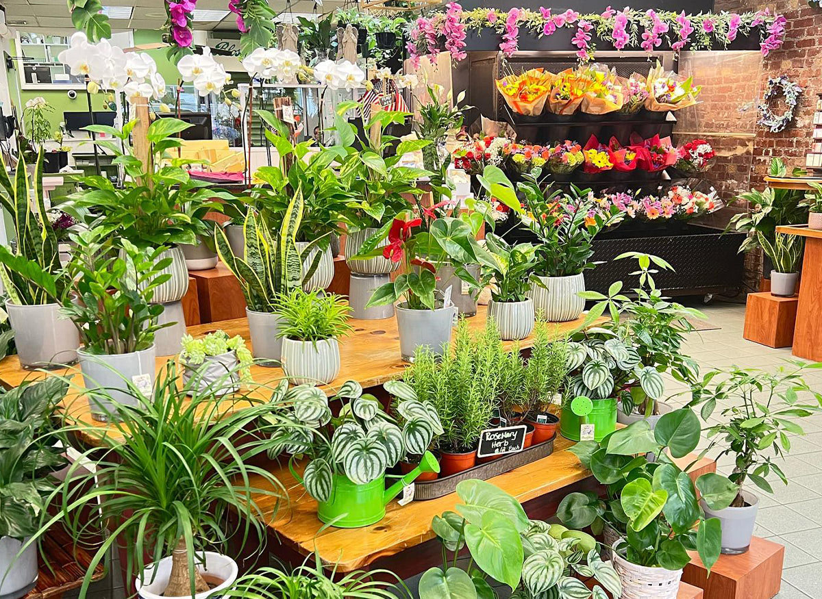 Blossom Flower Shops New York Learn About Your Local Florist
